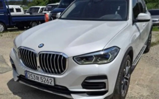 인천중고외제차 X5 (G05) xDrive 30d xLine 매물 사진 2 - 2022/10 116,104km